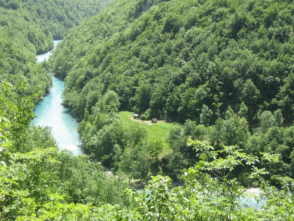فندق Tara Bridge Castle جابلياك الغرفة الصورة